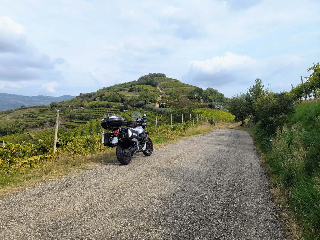MOTO GUZZI V85TT SU STRADA COLLINARE TRA I VINGETI IN PROVINCIA DI VERONA